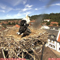 12_50-nest.jpg