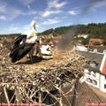 13_00-nest.jpg