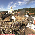 13_45-nest.jpg