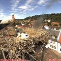 14_00-nest.jpg