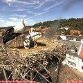 14_25-nest.jpg