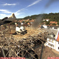 14_55-nest.jpg