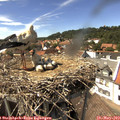15_05-nest.jpg