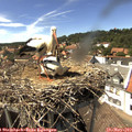 15_10-nest.jpg