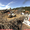 15_15-nest.jpg