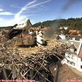 15_20-nest.jpg