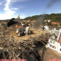 15_45-nest.jpg