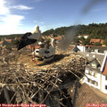 16_00-nest.jpg