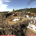 16_05-nest.jpg