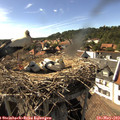 16_45-nest.jpg