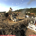 17_00-nest.jpg