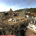 17_10-nest.jpg