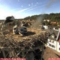 17_15-nest.jpg