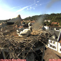 17_25-nest.jpg