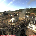 17_45-nest.jpg