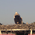 19_35-mast.jpg