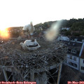 21_05-nest.jpg