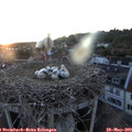 21_10-nest.jpg