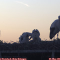 05_35-mast.jpg