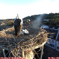 05_55-nest.jpg