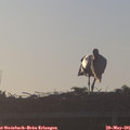 06_20-mast.jpg