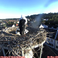 06_35-nest.jpg