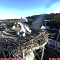 06_40-nest.jpg