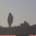 06_45-mast.jpg