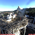 06_55-nest.jpg