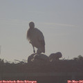 07_00-mast.jpg