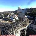 07_00-nest.jpg