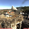 08_35-nest.jpg