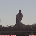 08_55-mast.jpg