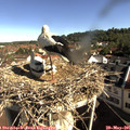 09_05-nest.jpg