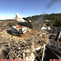 09_20-nest.jpg