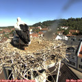 10_20-nest.jpg