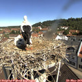 10_35-nest.jpg
