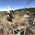 11_00-nest.jpg