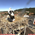 11_05-nest.jpg