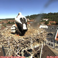 11_10-nest.jpg