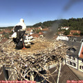 11_45-nest.jpg