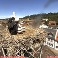 12_15-nest.jpg