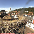 14_10-nest.jpg