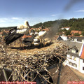 14_35-nest.jpg