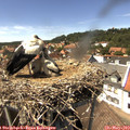 14_40-nest.jpg