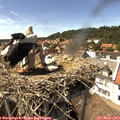15_10-nest.jpg