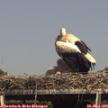 15_30-mast.jpg