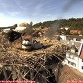 15_55-nest.jpg