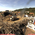 16_00-nest.jpg