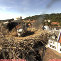 16_05-nest.jpg